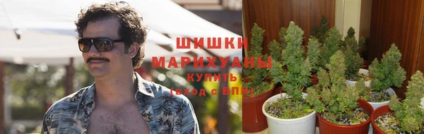бошки Аркадак