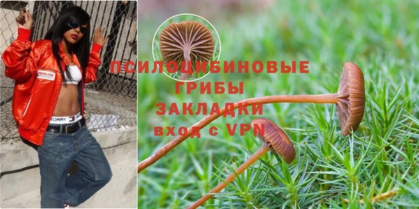 бошки Аркадак