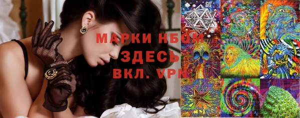 бошки Аркадак