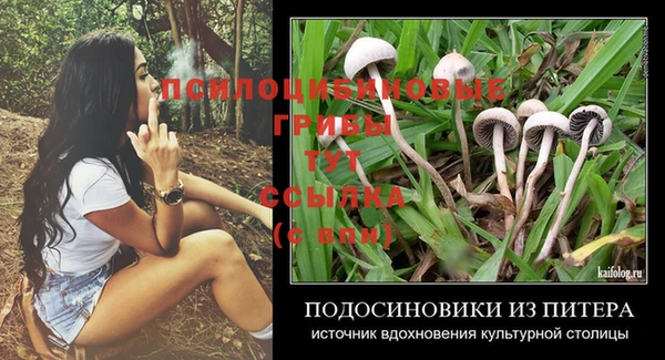 мет Армянск
