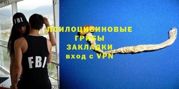 apvp Арсеньев