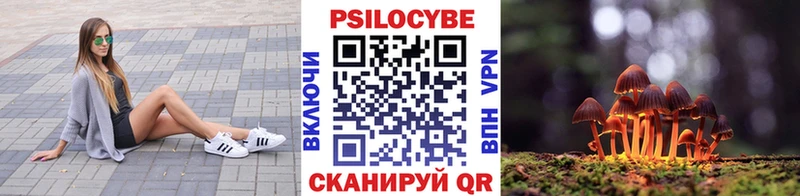 Галлюциногенные грибы мицелий  Ревда 